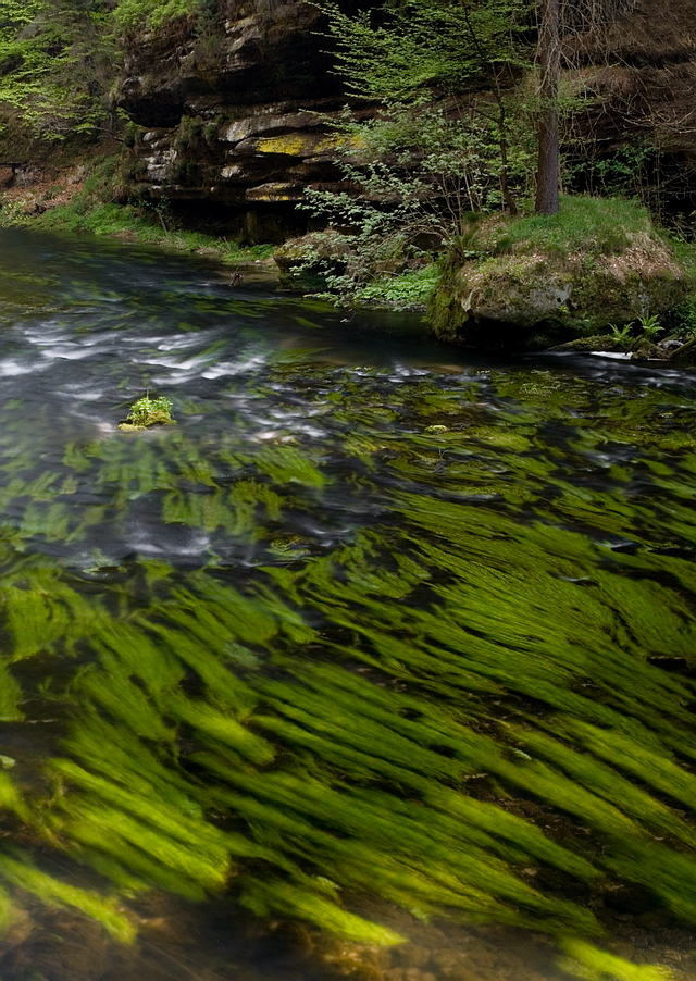 Browse gallery in a new window