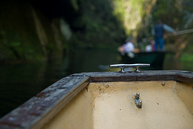 Browse gallery in a new window