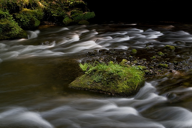 Browse gallery in a new window