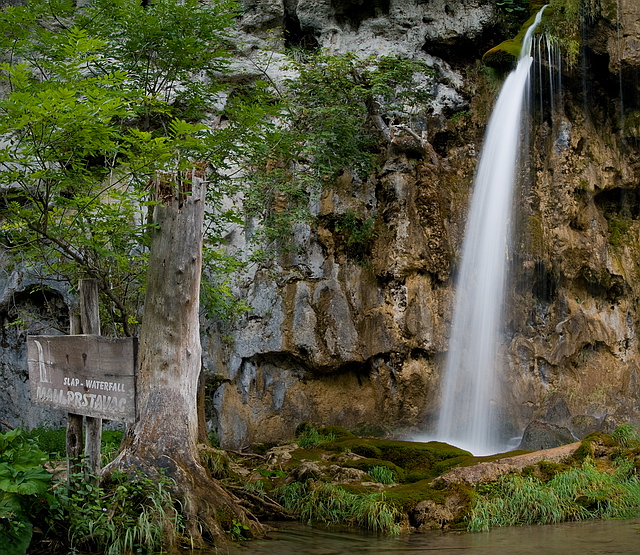 Browse gallery in a new window