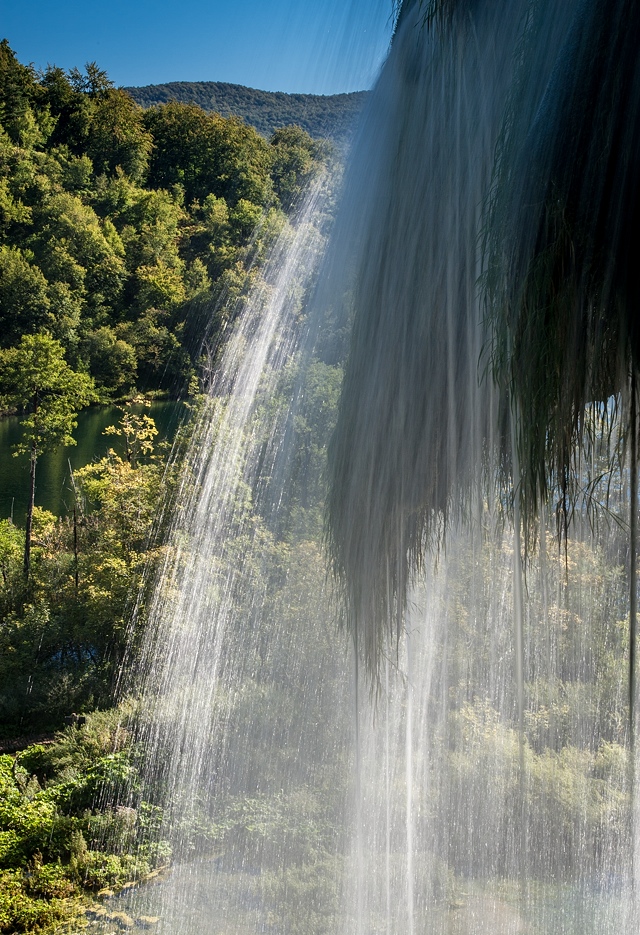 Browse gallery in a new window