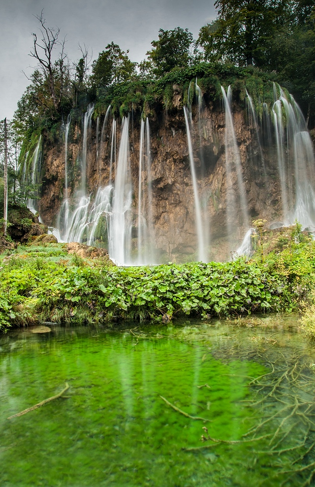 Browse gallery in a new window