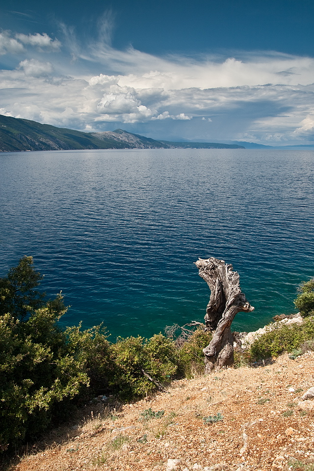 Browse gallery in a new window