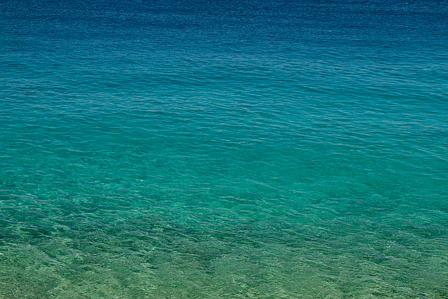 Browse gallery in a new window