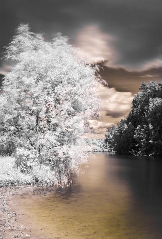 Browse gallery in a new window