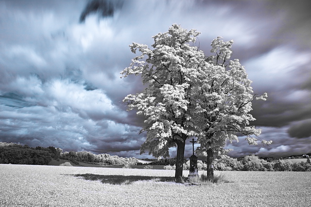 Browse gallery in a new window