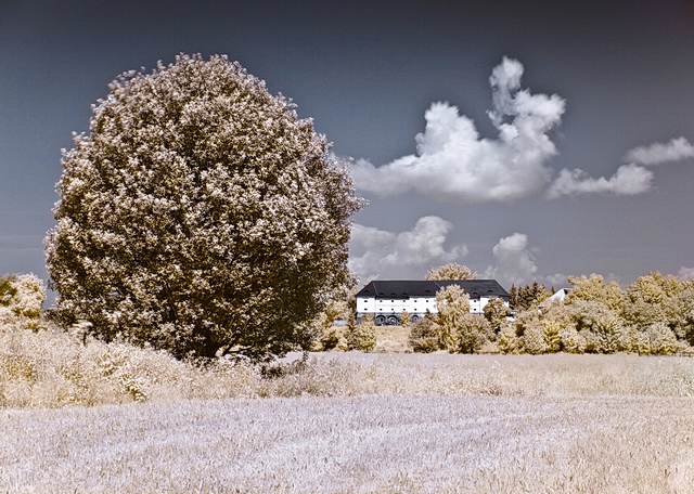 Browse gallery in a new window