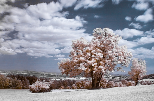 Browse gallery in a new window