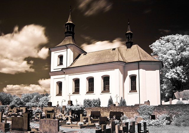 Browse   gallery in a new window