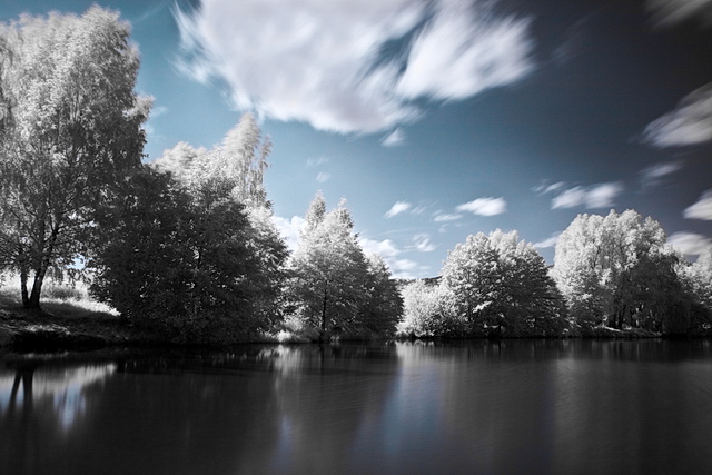 Browse   gallery in a new window