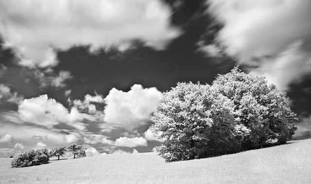 Browse   gallery in a new window