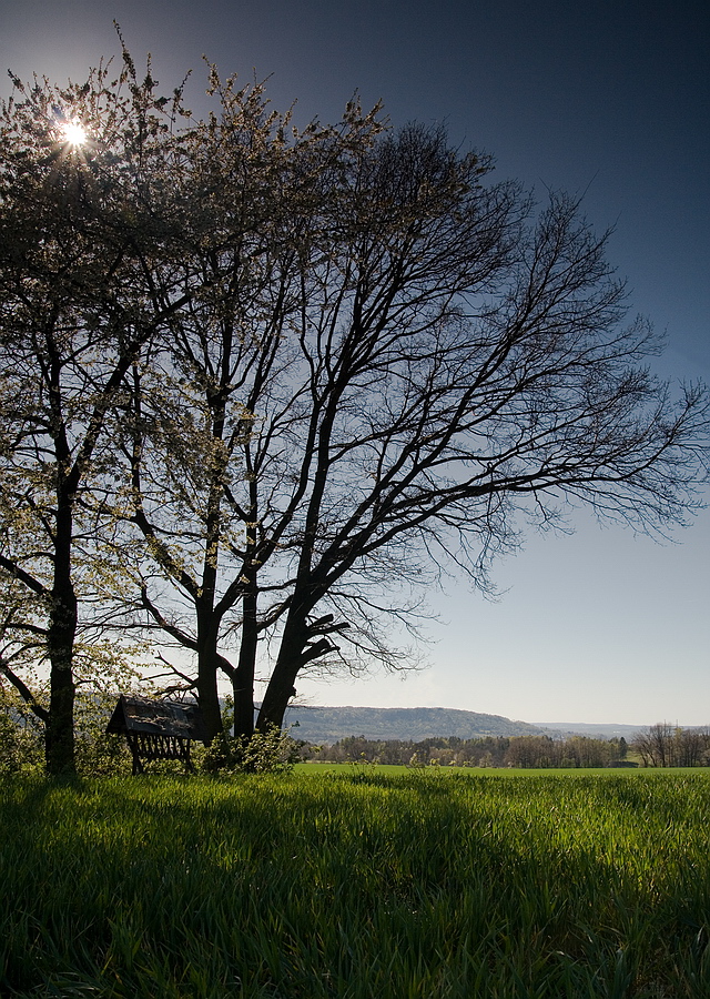 Browse gallery in a new window