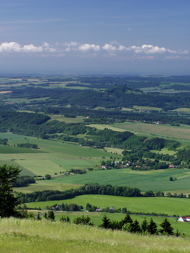 Browse gallery in a new window