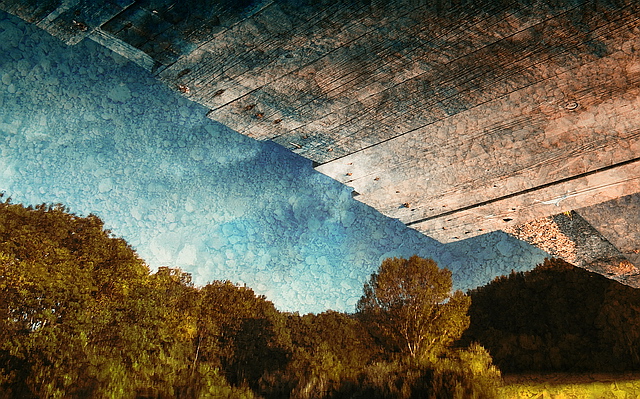 Browse gallery in a new window