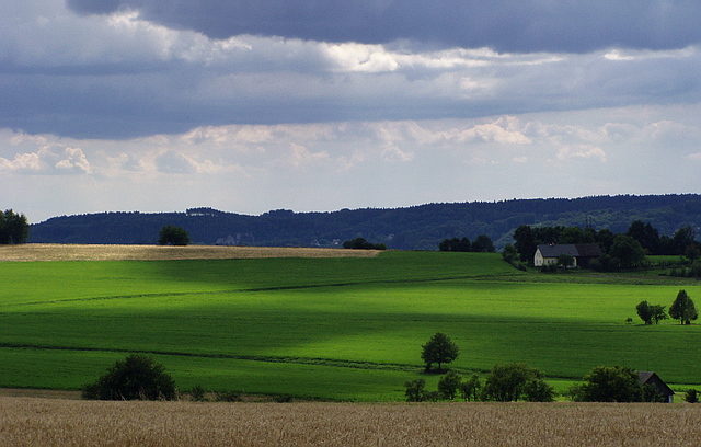 Browse gallery in a new window