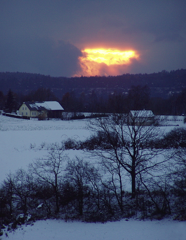 Browse gallery in a new window