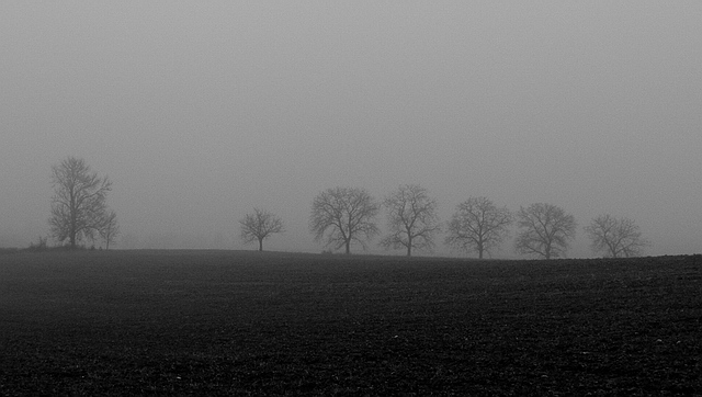 Browse gallery in a new window