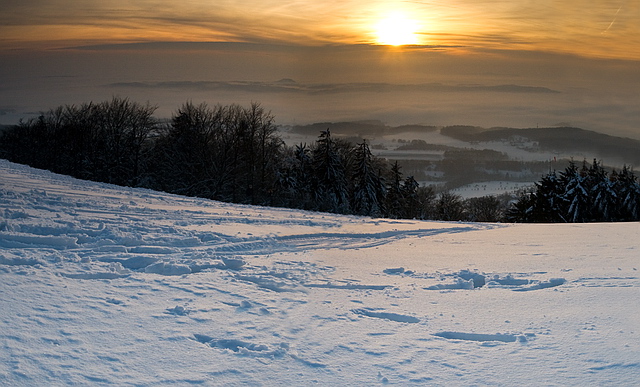 Browse gallery in a new window