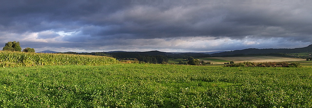 Browse gallery in a new window