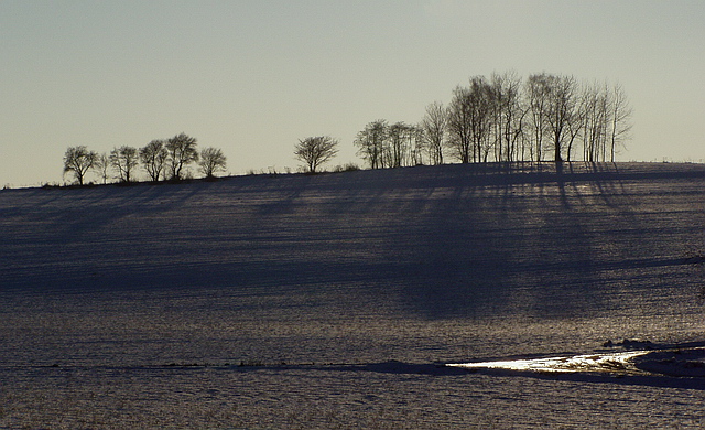 Browse gallery in a new window