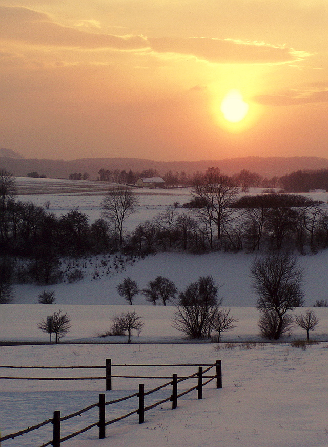 Browse gallery in a new window