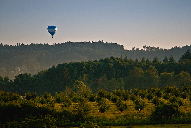 Browse gallery in a new window