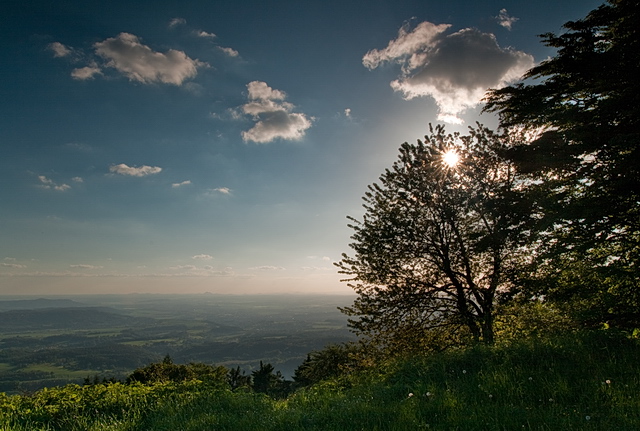 Browse gallery in a new window