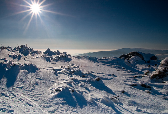 Browse gallery in a new window