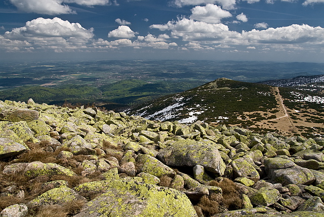 Browse gallery in a new window