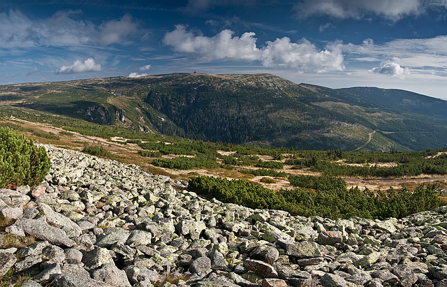 Browse gallery in a new window