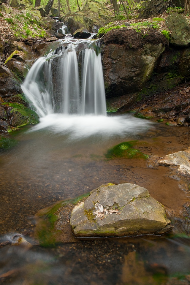 Browse gallery in a new window
