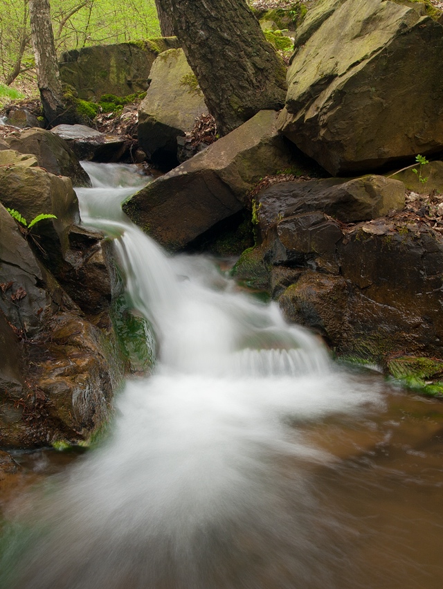 Browse gallery in a new window