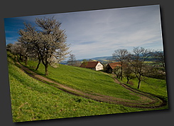 Cesta domů... Cesta domů...