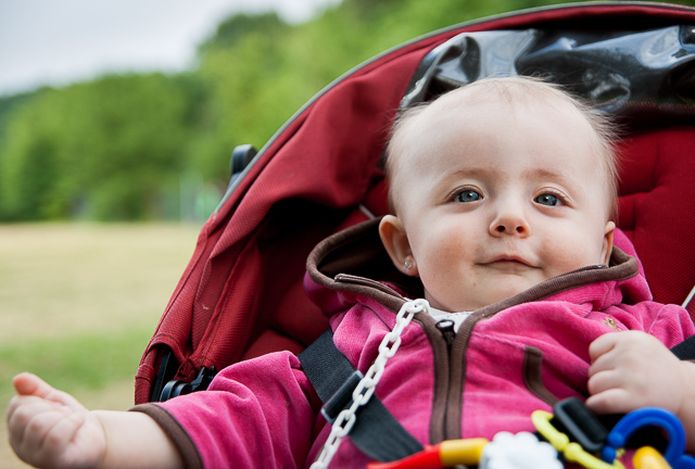 Zobrazit v celém okně