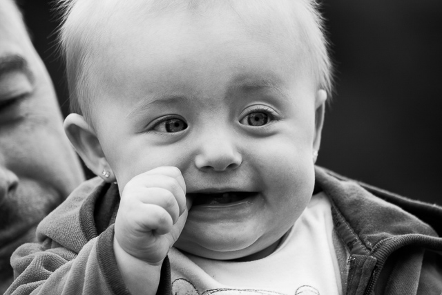 Zobrazit v celém okně