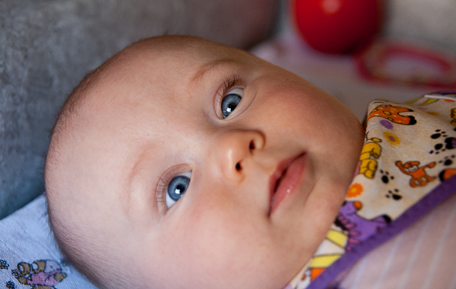 Zobrazit v celém okně