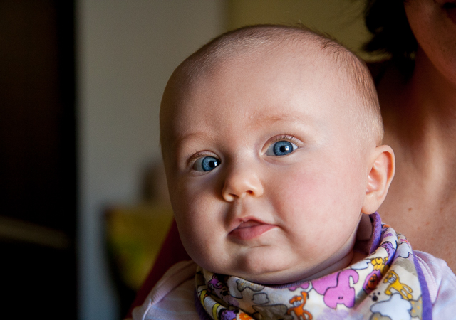 Zobrazit v celém okně