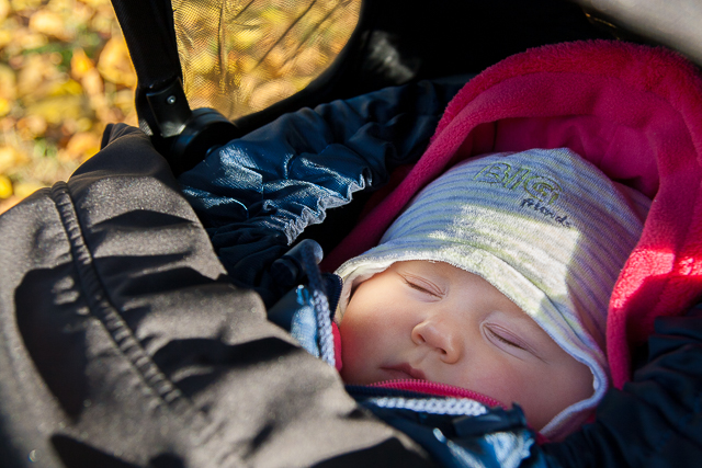 Zobrazit v celém okně