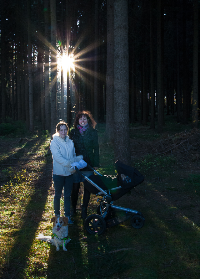 Zobrazit v celém okně