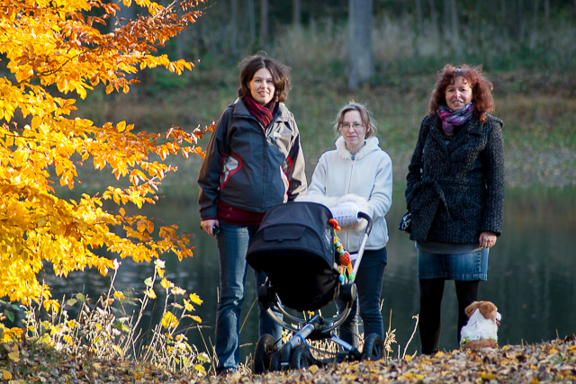Zobrazit v celém okně