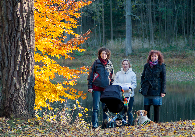 Zobrazit v celém okně