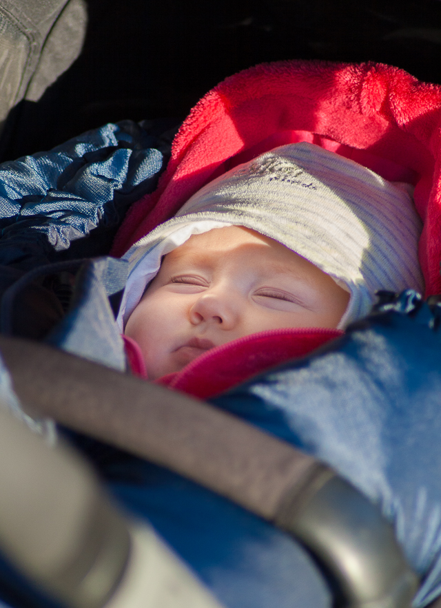 Zobrazit v celém okně