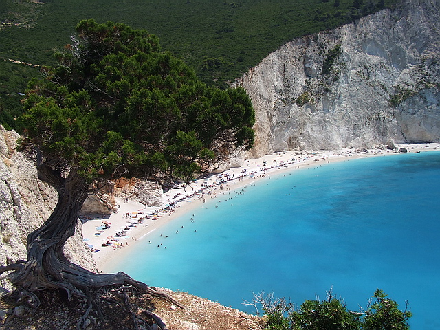 Browse gallery in a new window