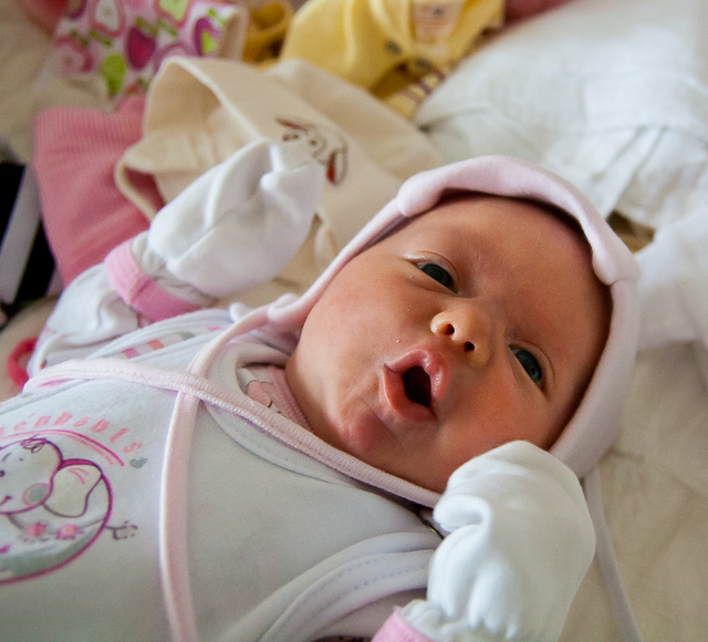 Browse gallery in a new window