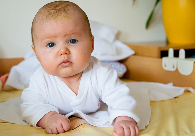 Browse gallery in a new window