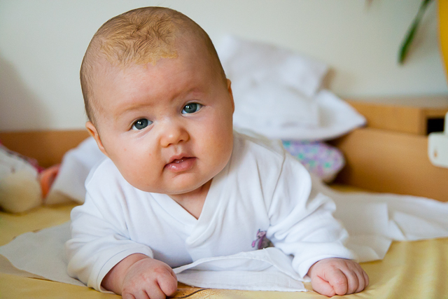 Browse gallery in a new window