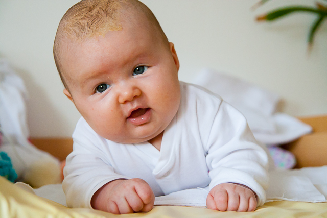 Browse gallery in a new window