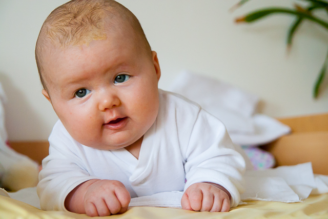 Browse gallery in a new window