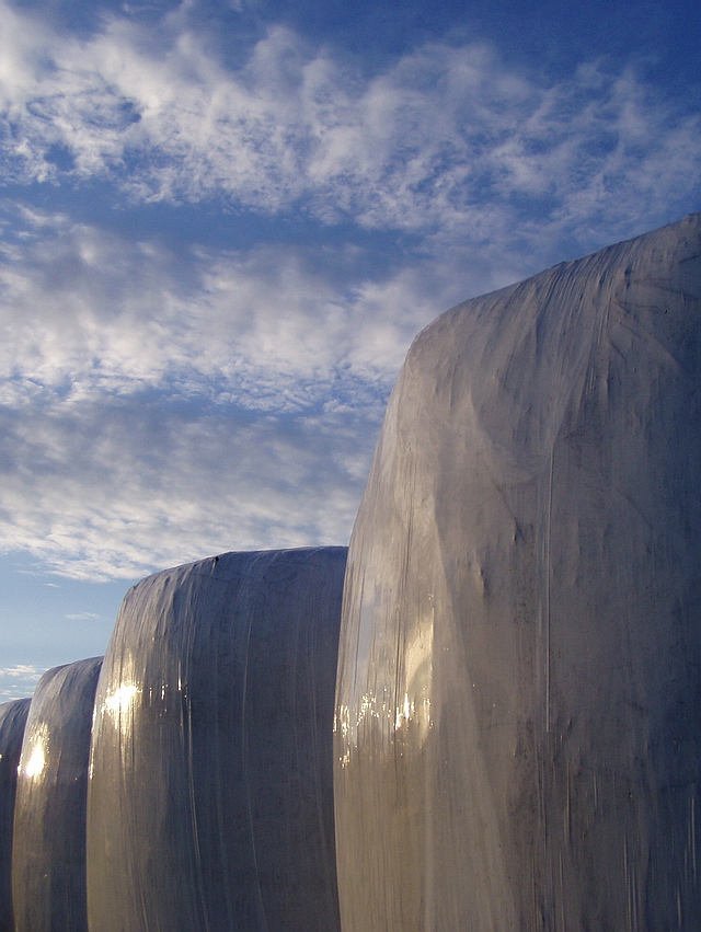 Browse gallery in a new window