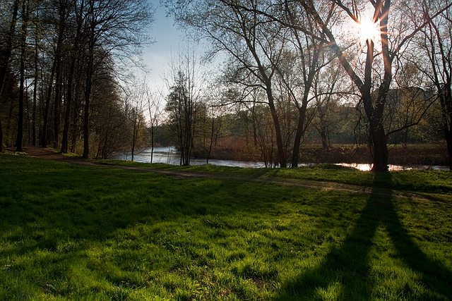 Browse gallery in a new window